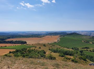 czechia/south-moravia/landmark/rose-hill-and-stone-cat