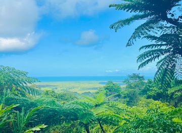 australia/cairns/landmark/uncle-brian-s-tours