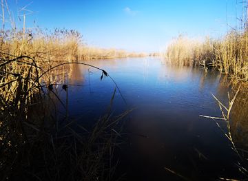 austria/neusiedler-see/landmark/biological-station-illmitz