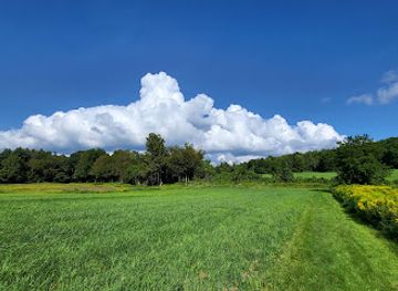 vermont/bennington-county/landmark/the-mile-around-woods