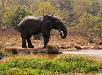 ghana/bono-region/landmark/mole-national-park