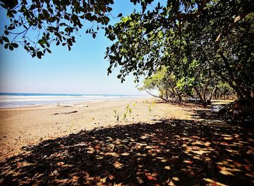 costa-rica/puerto-viejo/landmark/bread-chocolate