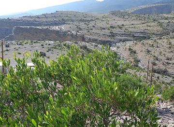 oman/jebel-shams/landmark/jebel-hatt-camping-area