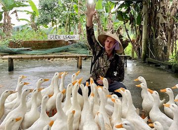 vietnam/northwest/landmark/the-duck-stop