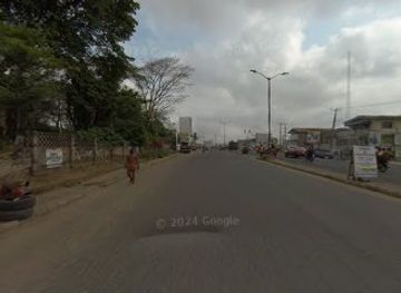 nigeria/iita-forest-reserve/landmark/iita-forest-project