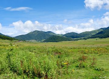 bhutan/sarpang-district/landmark/phobjikha-valley