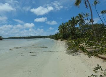 new-caledonia/north-province/landmark/isle-of-pines
