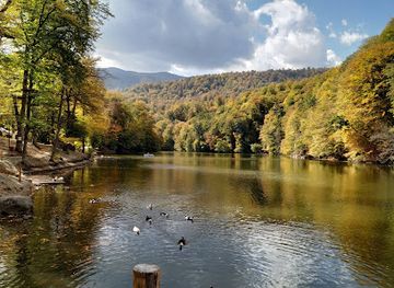 armenia/dilijan/landmark/dilijan-national-park
