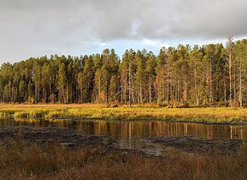 finland/karhunkierros-trail/landmark/karhu-kuusamo-bear-watching