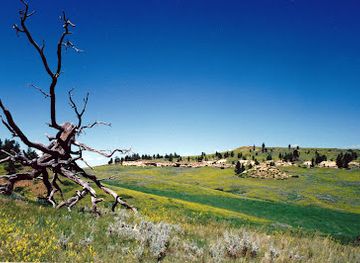 montana/the-little-belt-mountains/landmark/rosebud-battlefield-state-park