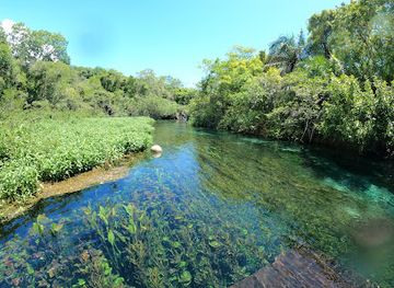 brazil/bonito/landmark/sucuri-river-bonito-ecotourism