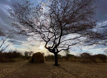 namibia/zambezi/landmark/khaudum-national-park