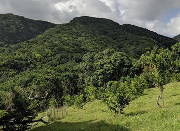 saint-kitts-and-nevis/nevis-peak/landmark/sky-safari-zipline