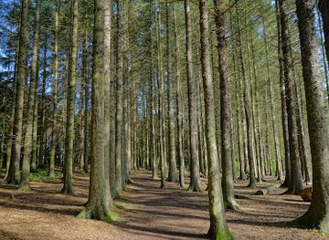 united-kingdom/west-lothian/attraction/beecraigs-country-park-2
