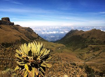 colombia/los-nevados-national-natural-park/landmark/natural-los-nevados-zona-de-ingreso-al-nevado-del-ruiz-national-park