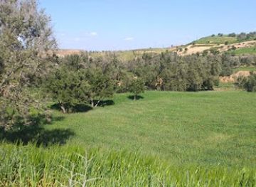 morocco/chiadma/landmark/chiadma-city