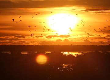 colombia/leticia/landmark/govindas-vegetarian-food-yoga