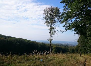 hungary/mecsek-mountains/landmark/nyugat-mecsek-landscape-protection-area