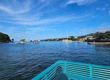 saint-vincent-and-the-grenadines/saint-george/landmark/saint-vincent