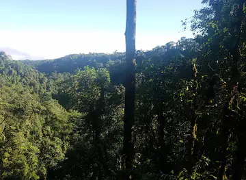 Milpe Bird Sanctuary - Mindo Cloudforest Foundation