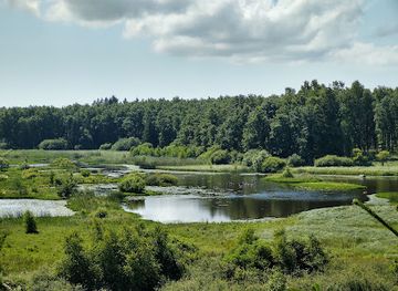 denmark/bornholm/landmark/bison-pa-bornholm