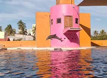 mexico/ixtapa-zihuatanejo/landmark/delfiniti-of-mexico