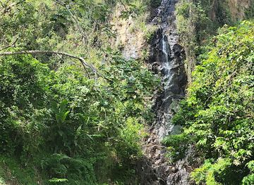 puerto-rico/yunque-national-forest/landmark/bosque-estatal-de-cambalache