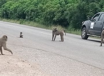 ghana/volta-region/landmark/volta-region