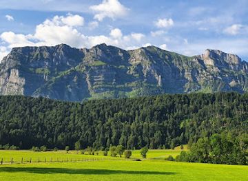 austria/bregenzerwald/landmark/barfussweg-bizauer-moos