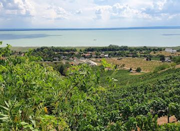 hungary/lake-balaton/landmark/laposa-domains