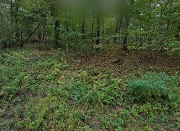 virginia/skyline-drive/landmark/lewis-mountain