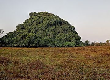 colombia/sucre-department/landmark/subregion-la-mojana-sucre-colombia