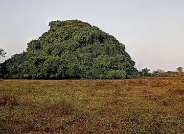 Subregión La Mojana - Sucre Colombia