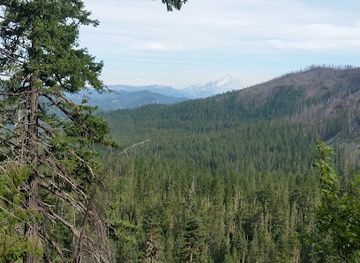 oregon/mount-hood-national-forest/landmark/bull-of-the-woods-wilderness