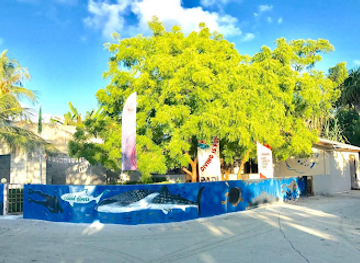 maldives/dhigurah/landmark/island-divers