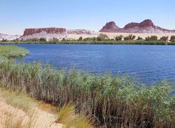 chad/lac/landmark/lake-chad