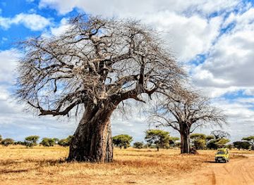 tanzania/eastern-zone/landmark/tarangire-national-park