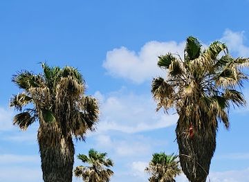 israel/tel-aviv/jaffa/landmark/yaffa