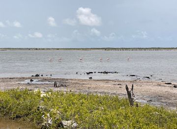 turks-and-caicos-islands/south-caicos/landmark/boiling-hole