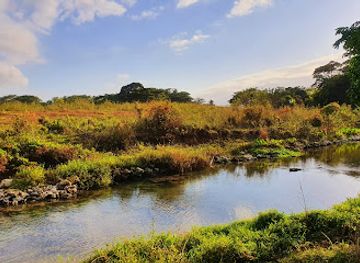 jamaica/st-thomas-lowlands/landmark/roaring-river-and-cave