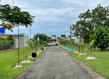 puerto-rico/isabela/landmark/campo-del-mar