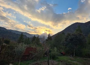 algeria/chrea-national-park/landmark/source-de-chrea