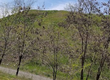 idaho/coeur-d-alene/landmark/coeur-d-alene-centennial-trail
