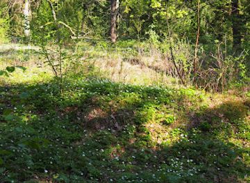 poland/suwalszczyzna/landmark/cemetery-of-jacwingow-nature-reserve