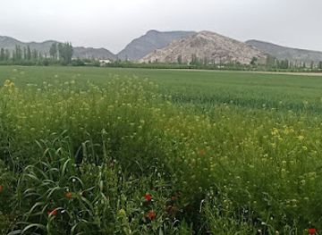 uzbekistan/namangan/landmark/nov-mahalla-fuqarolar-yigini