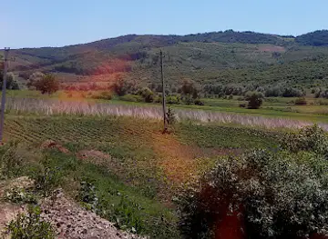 Bălănești Hill