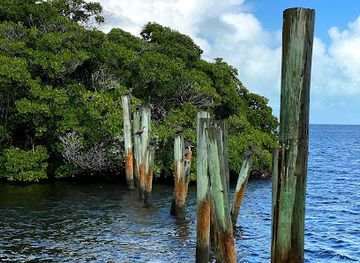 florida/key-largo/landmark/dagny-johnson-key-largo-hammock-botanical-state-park