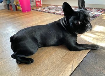 kazakhstan/kazakh-uplands/landmark/qazaqtyng-usaqshoqylyghy