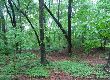 north-carolina/charlotte-metro/landmark/mcintyre-historic-site