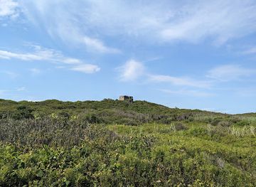 new-york/montauk/landmark/shadmoor-state-park